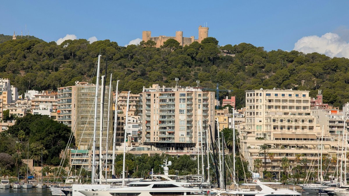 Vista sul porto e sul centro storico di Palma de Mallorca, dove dormire a Maiorca