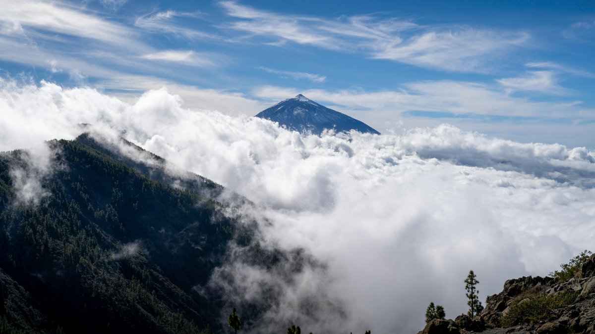 Paesaggio vulcanico dell'isola di La Palma con foreste verdi e cielo limpido
