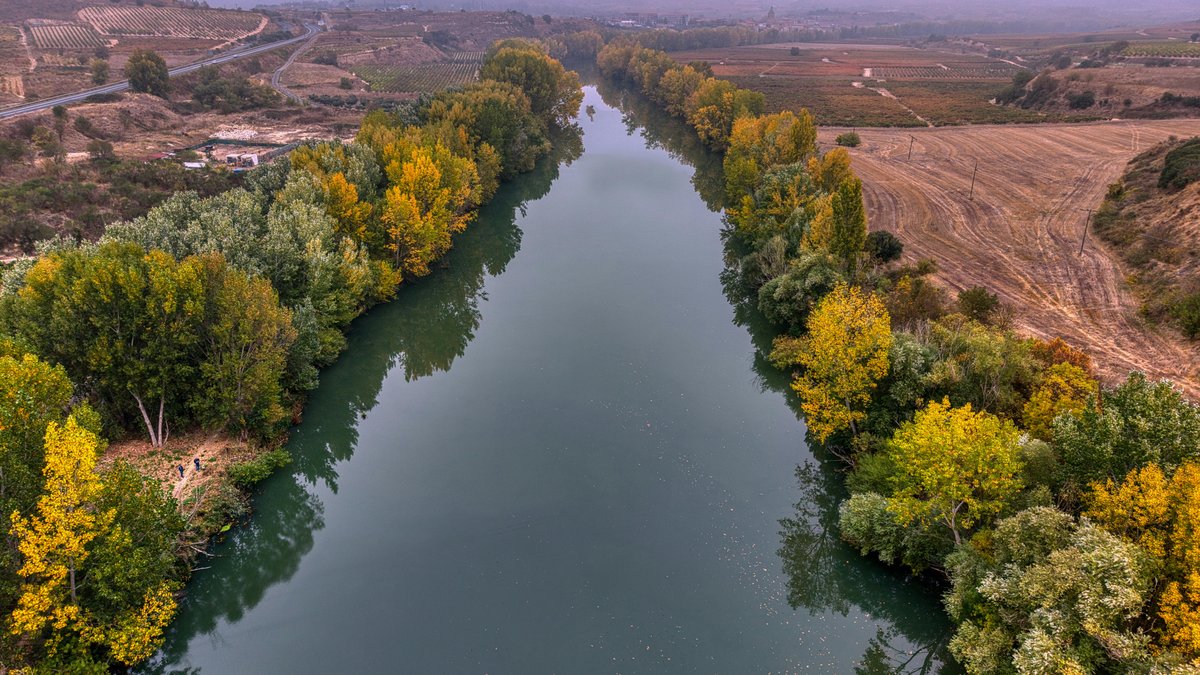 Paesaggio spagnolo in primavera con campi fioriti, ideale per capire quando andare in Spagna