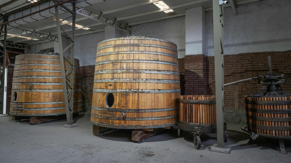 Botti di vino in una cantina della Rioja, una delle principali denominazioni dei vini spagnoli